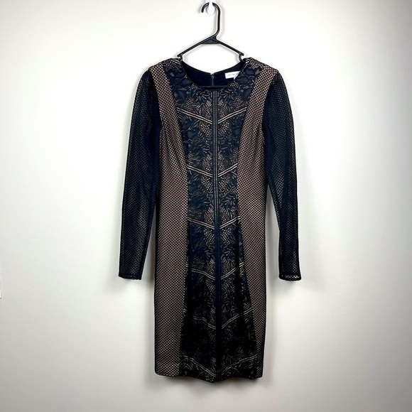 Dress the Population Dresses & Skirts - Dress The Population Black Lace Mesh Long Sleeve Dress Size M